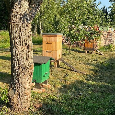 Agroturystyka Borow Prusice Eksteriør billede